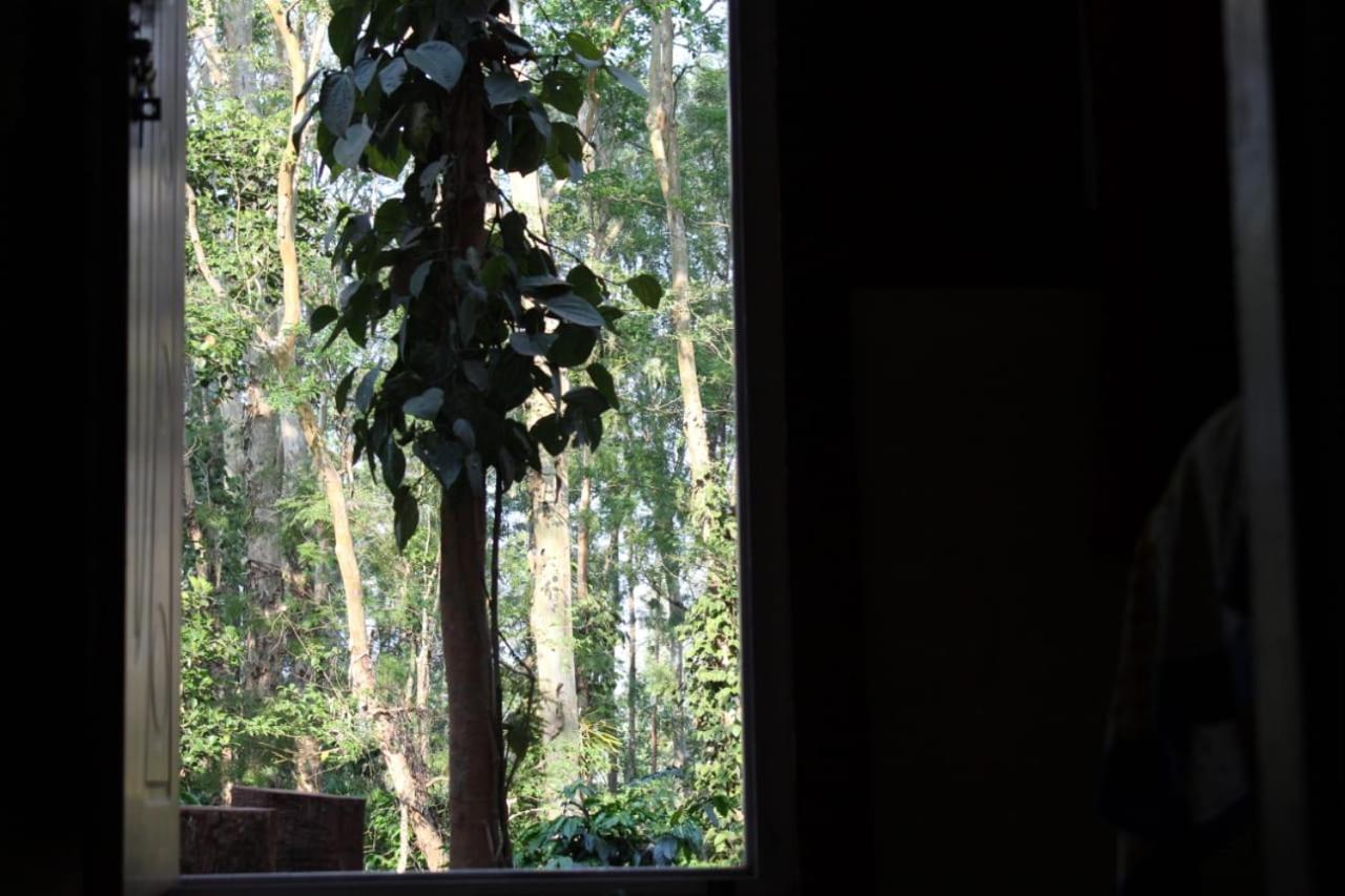 Kaikane homestay Madikeri Luaran gambar
