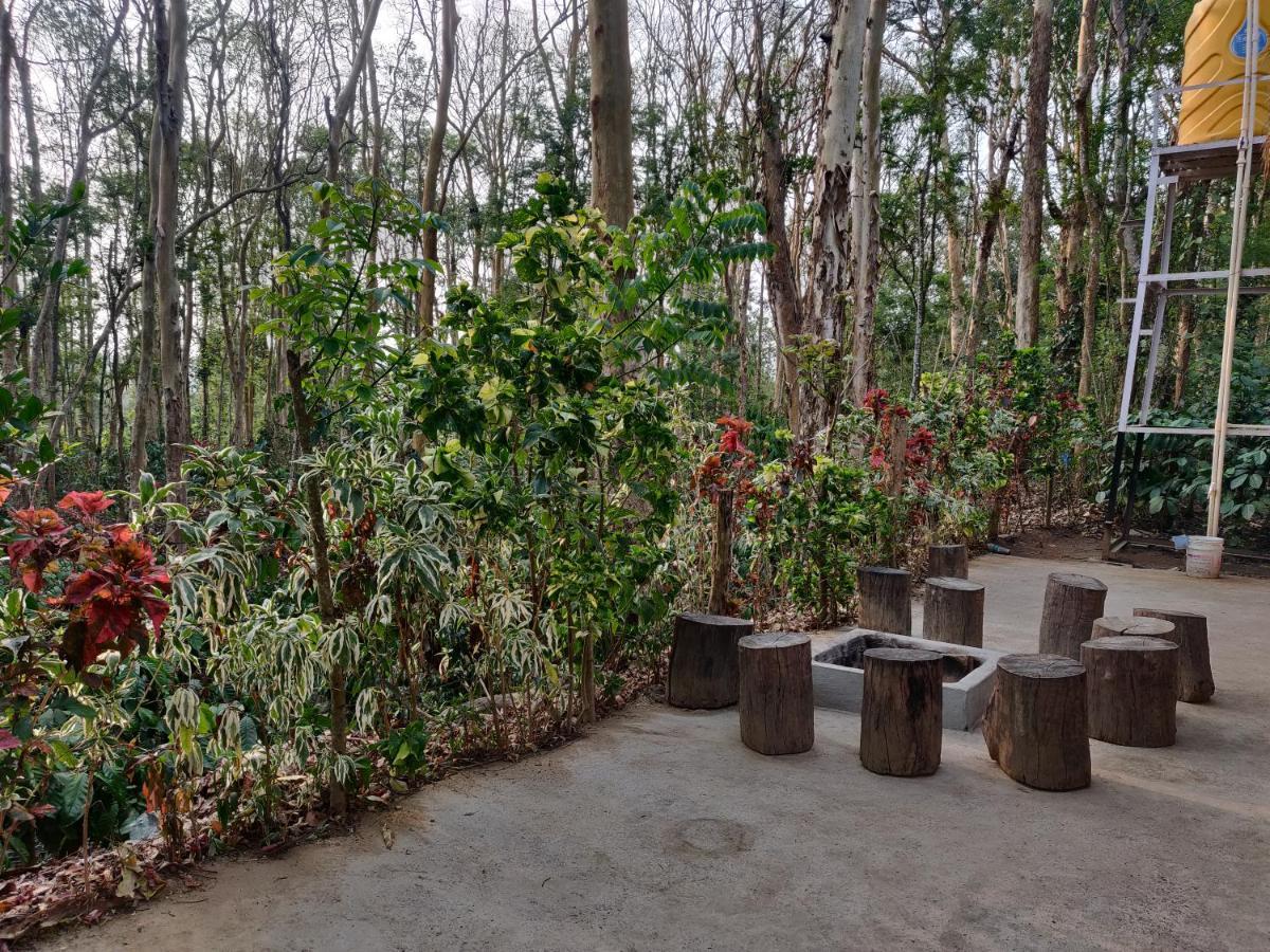 Kaikane homestay Madikeri Luaran gambar